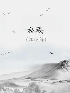 ˽