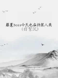 bossҲαװ