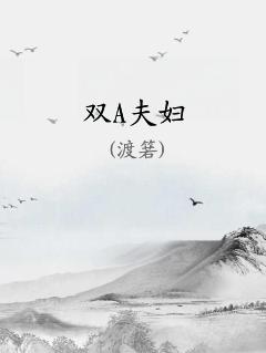 ˫A